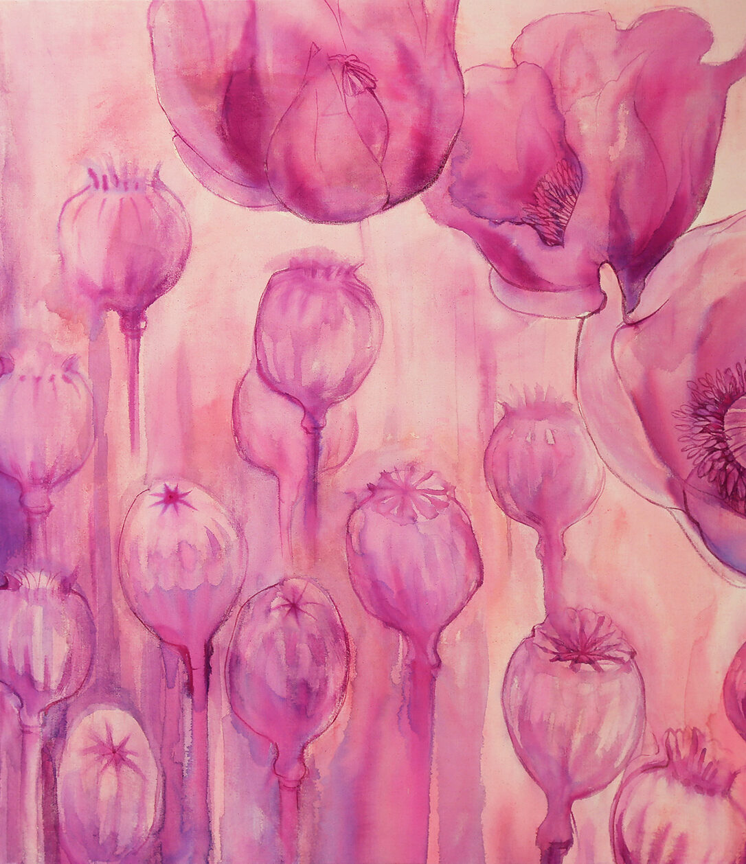 Poppy Opium