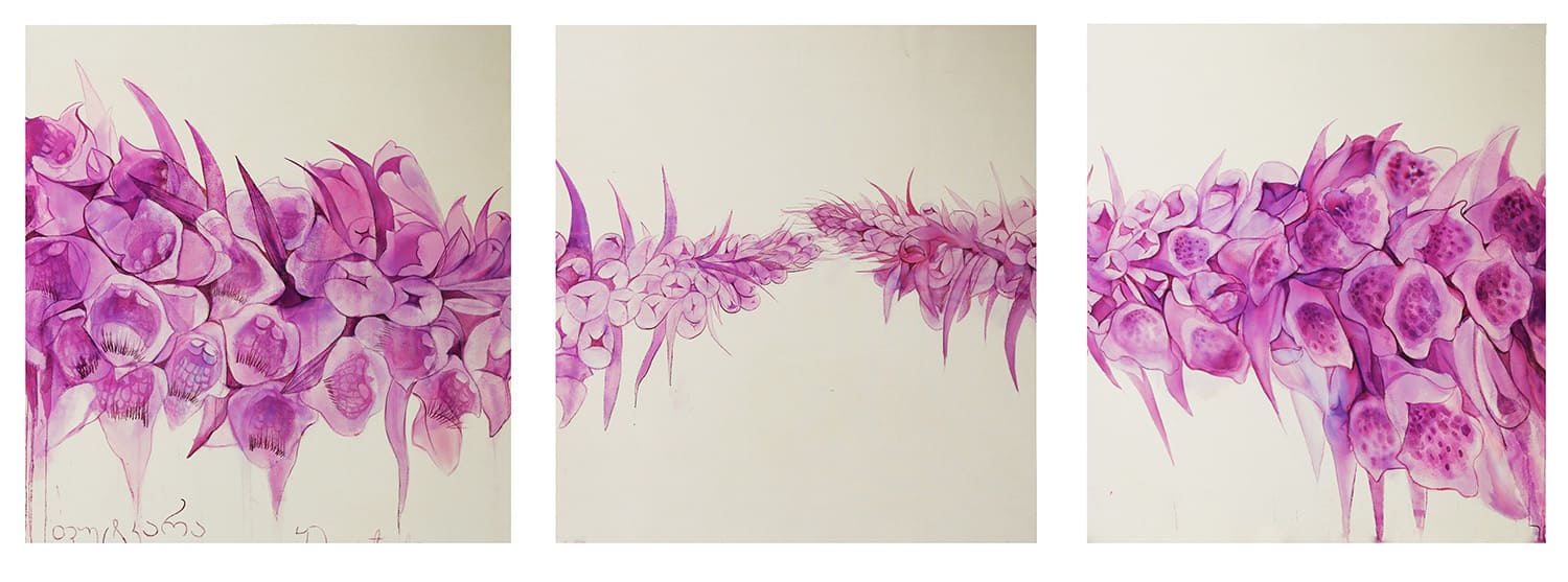 Digitales Ferrugenia and Purpurea