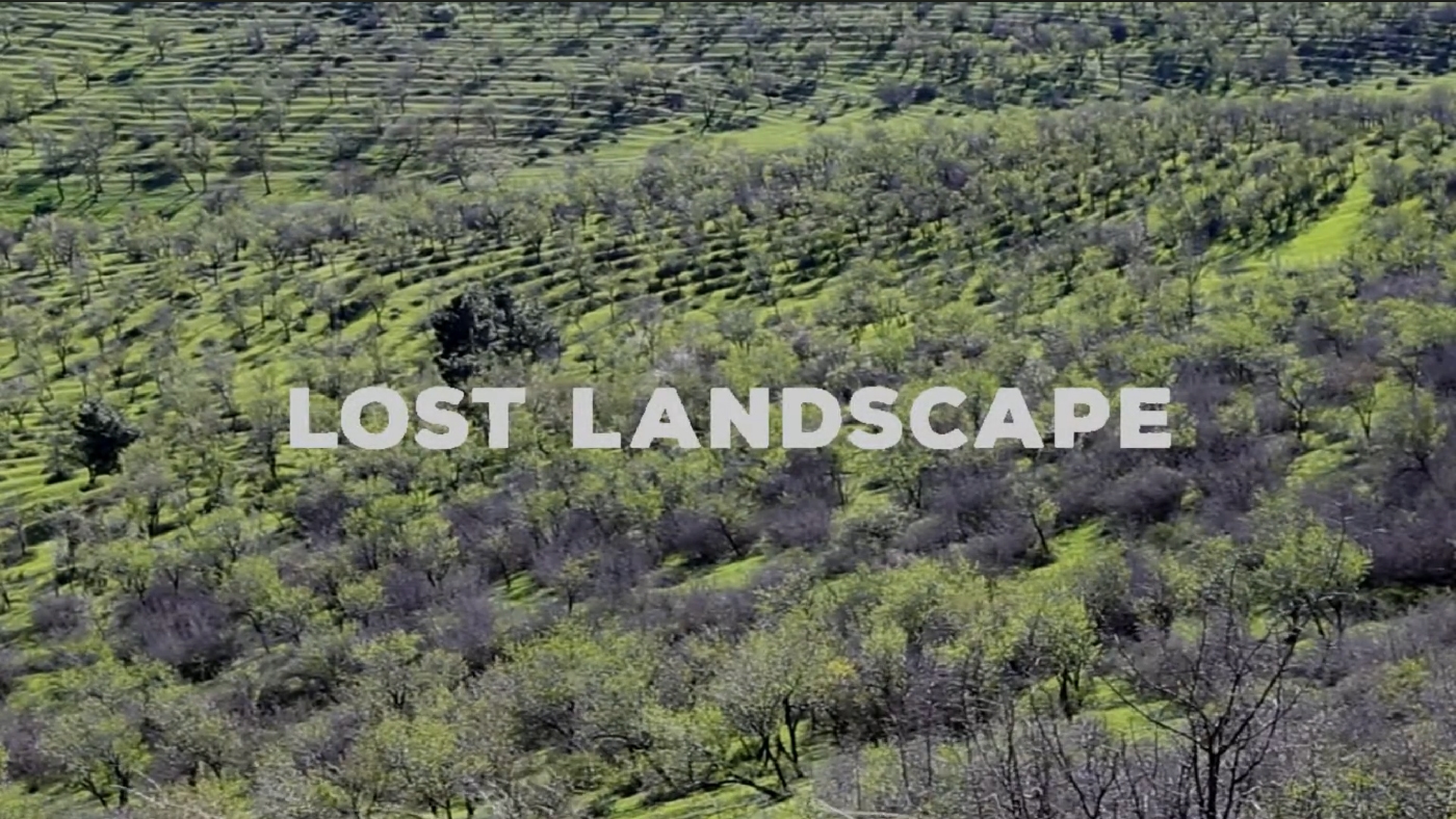Lost Landscape