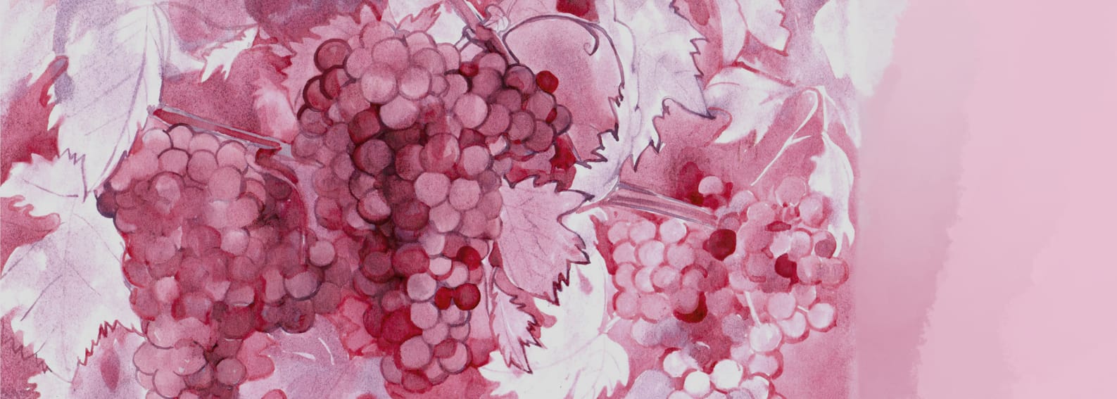 Wine Art Performance