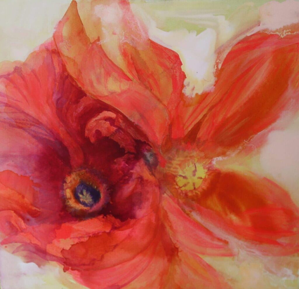 Poppies