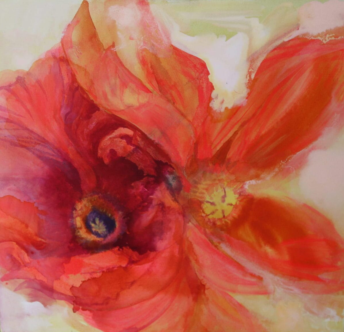 Poppies